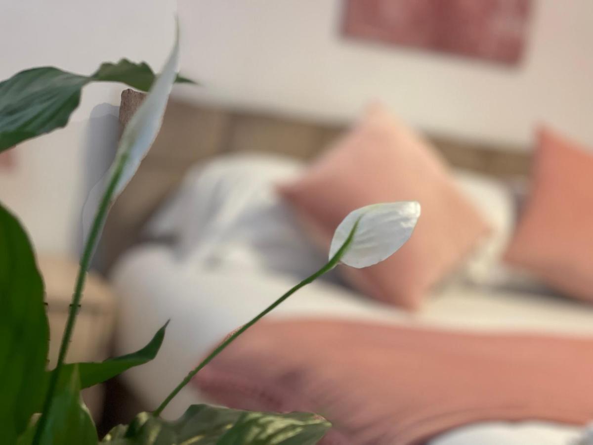 Penderi House Usk With Cymru Holidays Zewnętrze zdjęcie